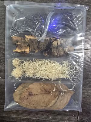 Terrarium Accesory Kit