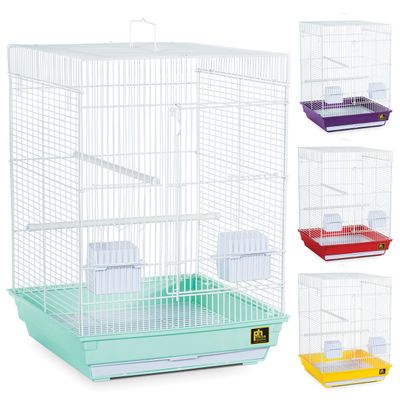 PH - Cockatiel Bird Cage - Assorted Colors - Multipack - 16&quot; x 16&quot; x 22&quot;