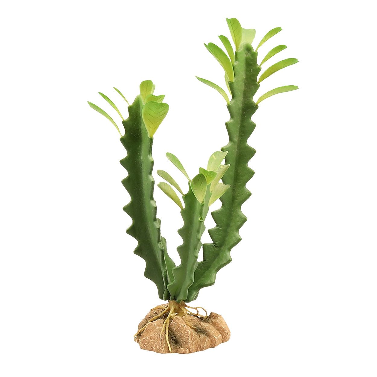 ZooMed - Natural Desert Flora - Euphorbia