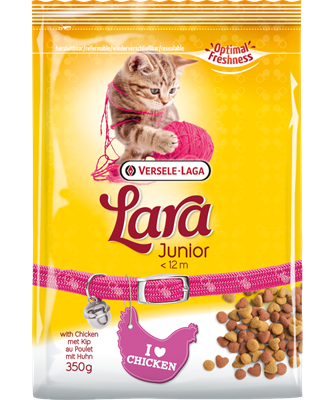 Lara - Cat - Junior