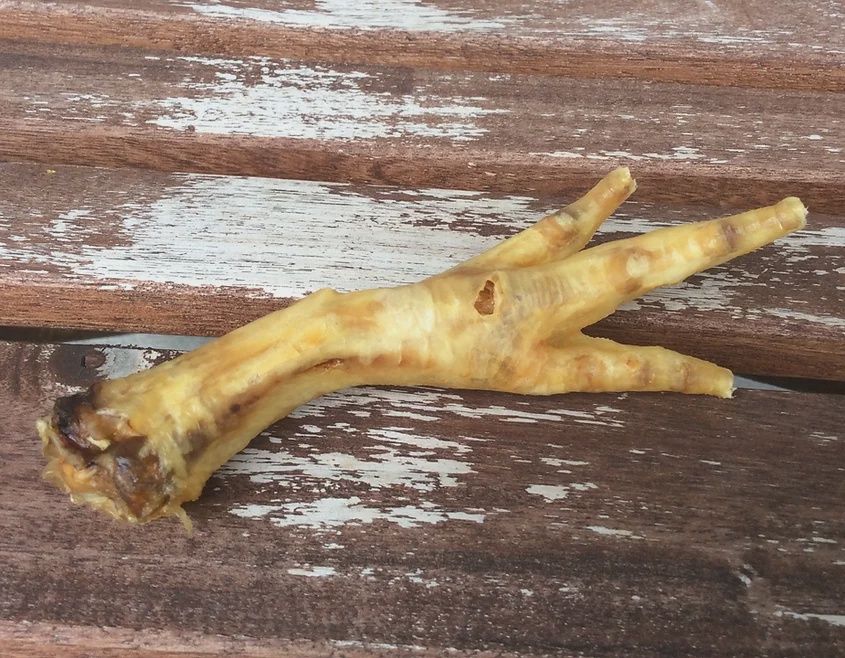 Kyon - Giant Chicken Feet