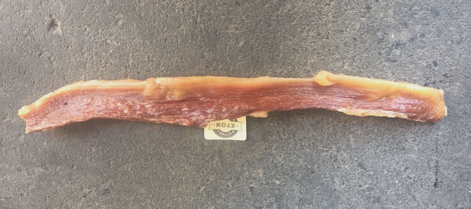Kyon - Bacon