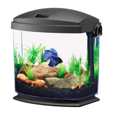 Aqueon - BettaBow 1 Aquarium Kit - 1 gal