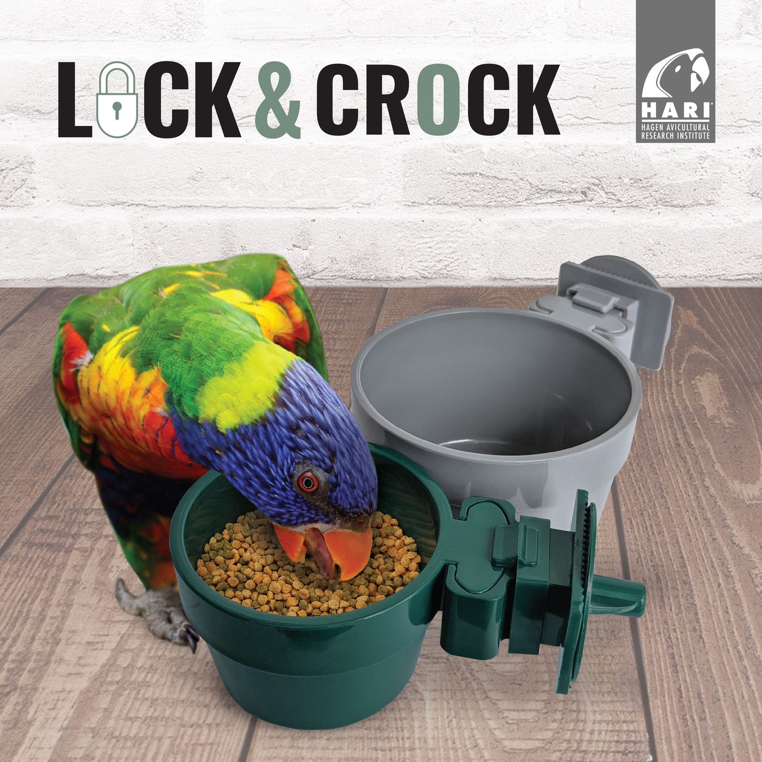 HARI Lock &amp; Crock Heavy-Duty - Tip-Proof - Food and Water Bowl - 177 ml (6 oz)