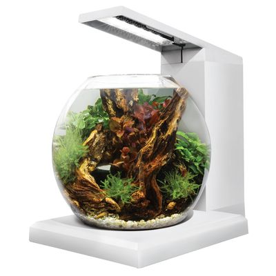 Fluval LIV Microscaping Aquarium Kit - White - 33 x 31.75 cm (13 x 12.5 in)