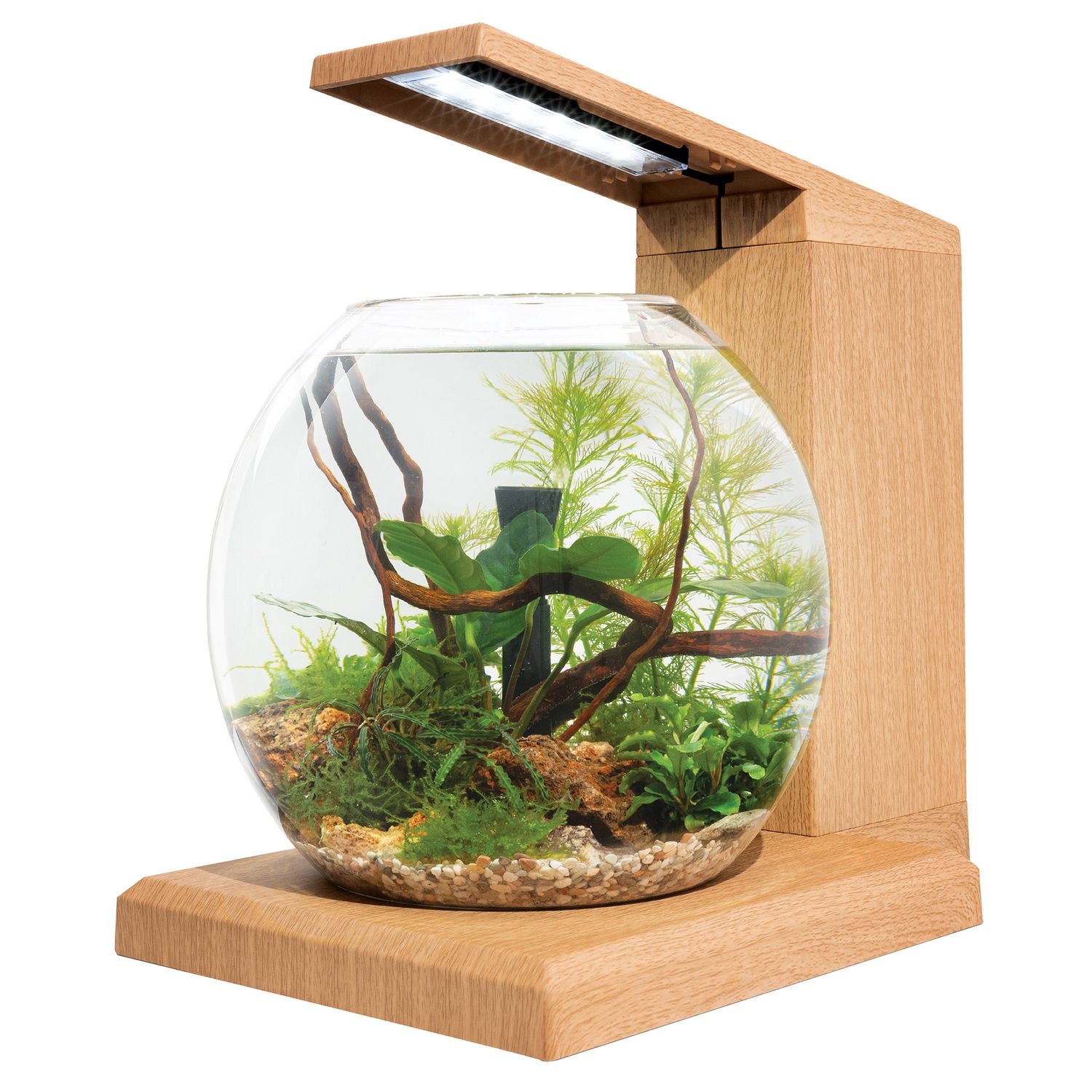 Fluval LIV Microscaping Aquarium Kit - Teak - 33 x 31.75 cm (13 x 12.5 in)
