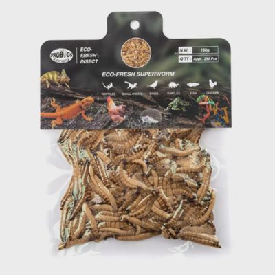 Probugs - Superworms - 150 Gr Bulk (290 Units)