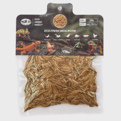 Probugs - Mealworms - 150 Gr Bulk (750 Units)