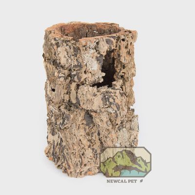 Natural Cork Round Medium (7-9')