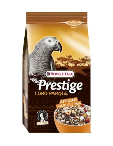VL African Parrot Prestige Loro Parque