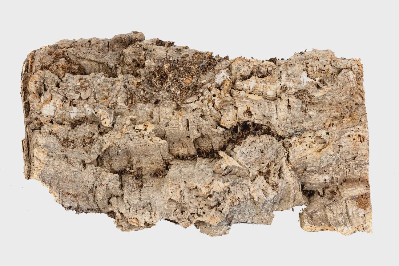 NewCal - Cork Flat - Small - 6-8&quot;