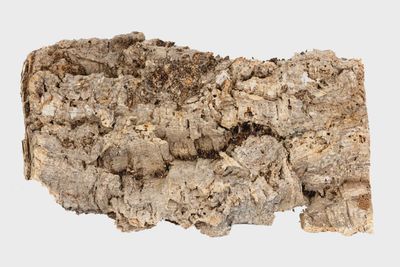 NewCal - Cork Flat - Small - 6-8"