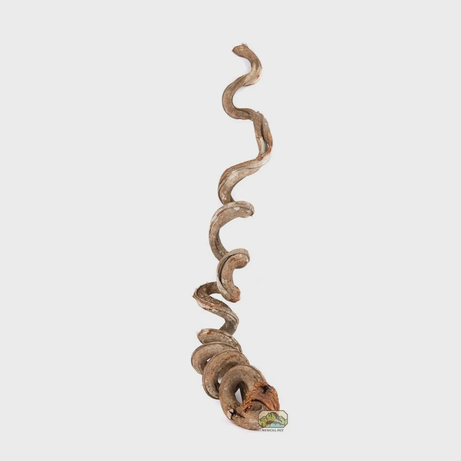 Liana Vine Rosca 36&quot;