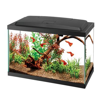 Aqueon - LED Aquarium Kit - 5.5 Gal