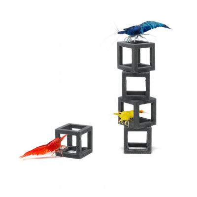 aquavitro shrimp cubes