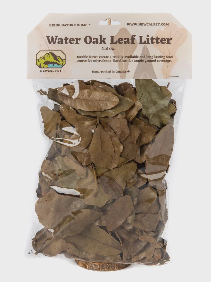 NewCal Water Oak Leaf Litter - 1.5 oz