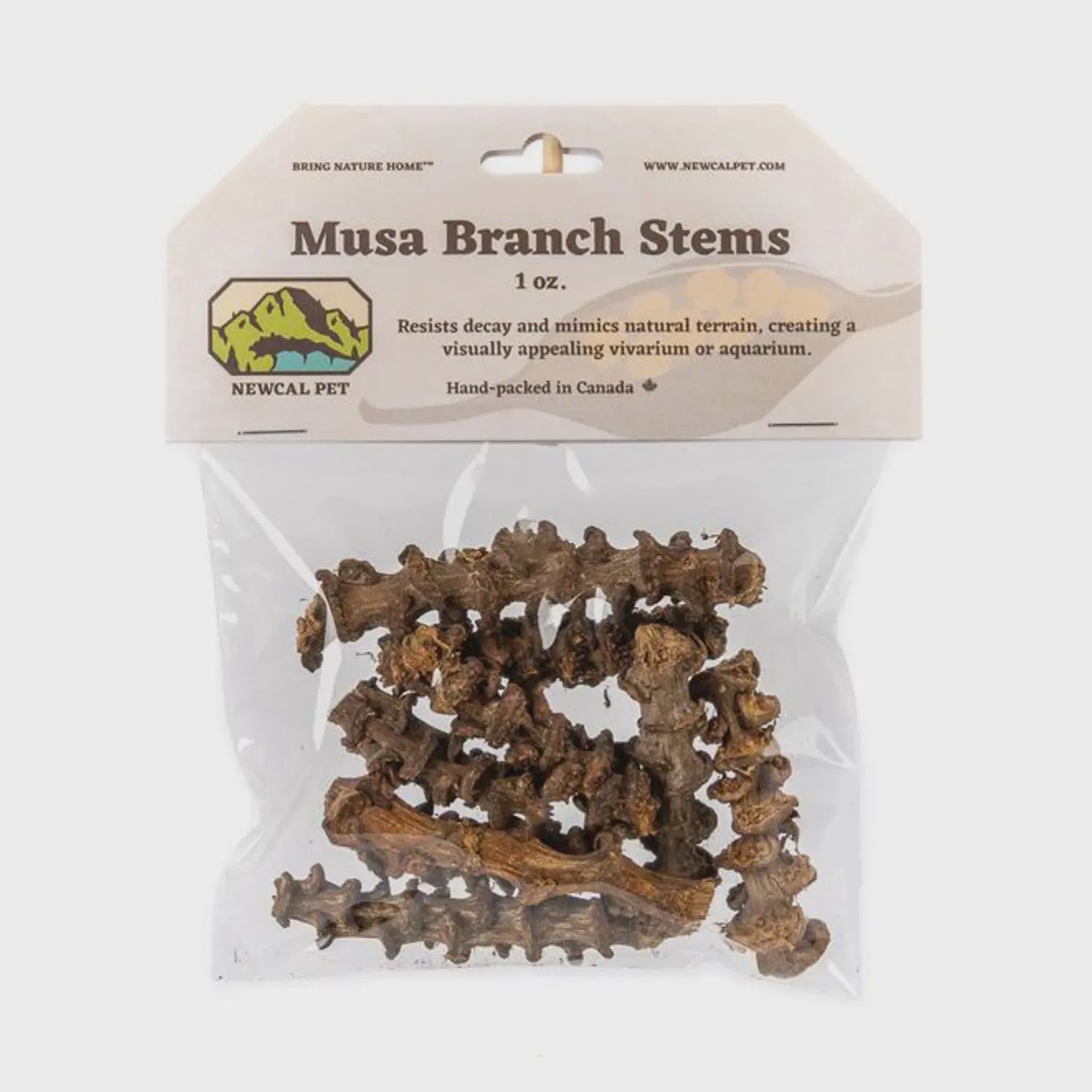 Newcal - Musa Branch Stems - 1 oz