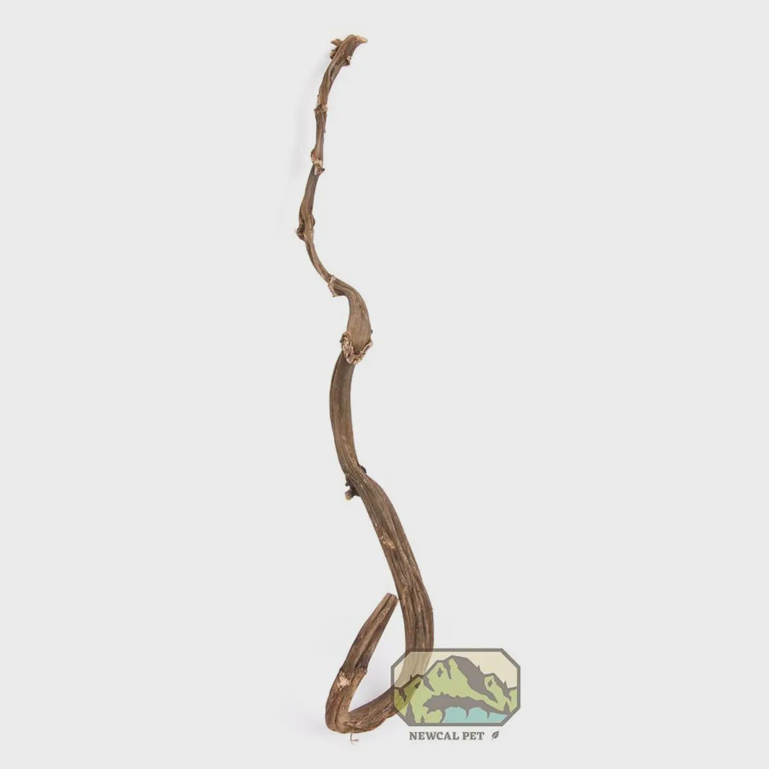 Newcal - Liana Banana Stick 24''