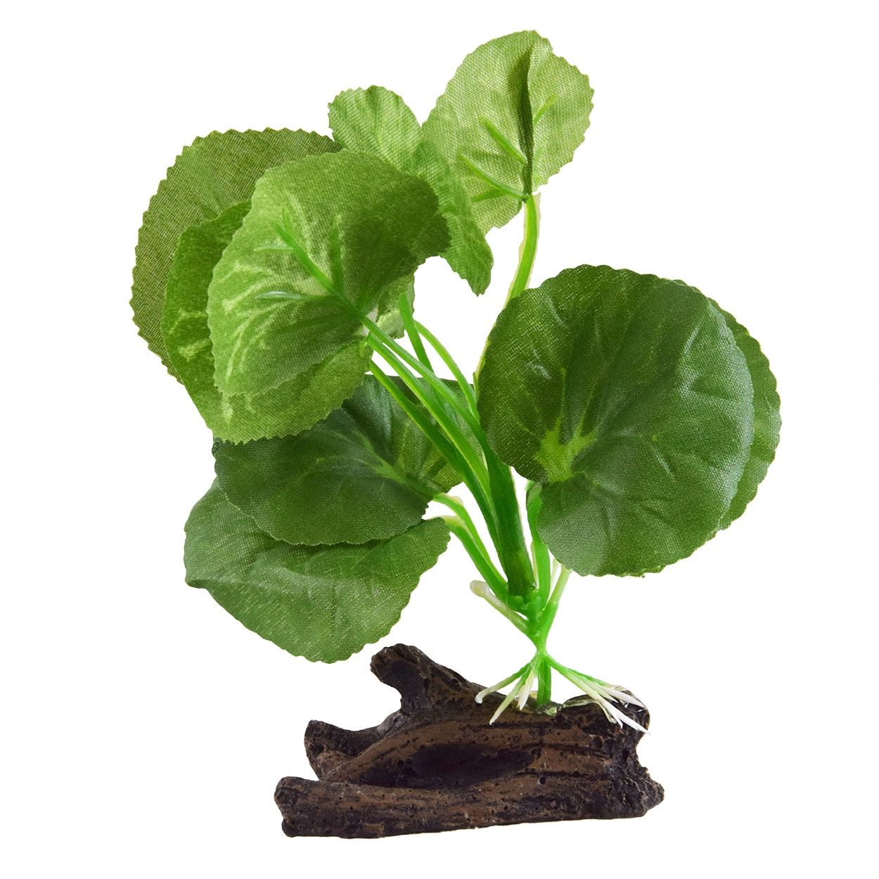 UT - Silk Hydrocotyle