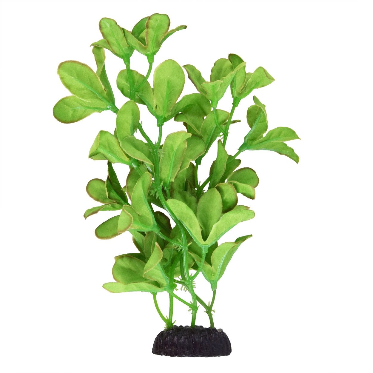 UT - Silk Bacopa Monnieri - 8"