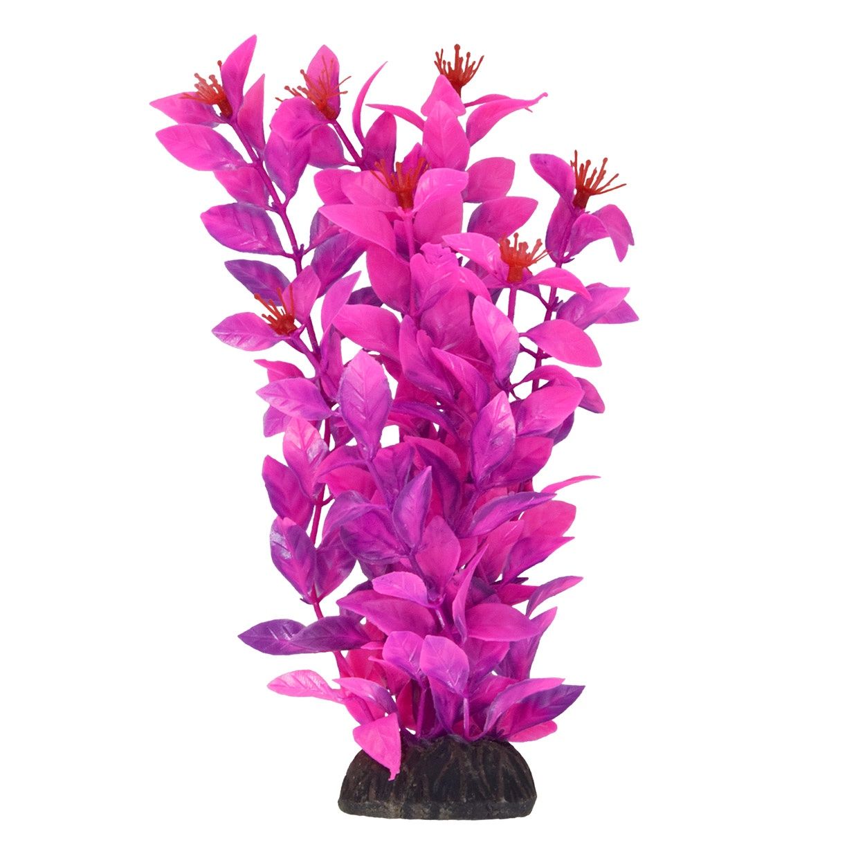 UT - Ludwigia - Pink - 8"