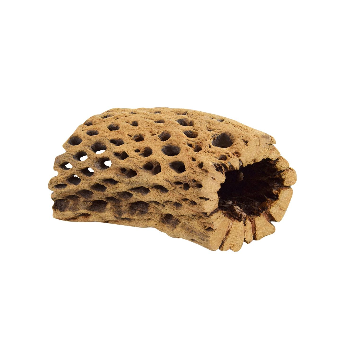 UT - Small Cholla Tunnel - Medium - 4"