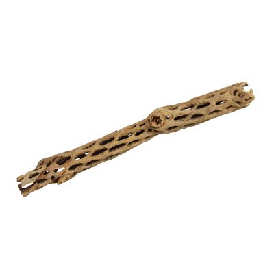 UT - Cholla Sticks - Medium - 6"