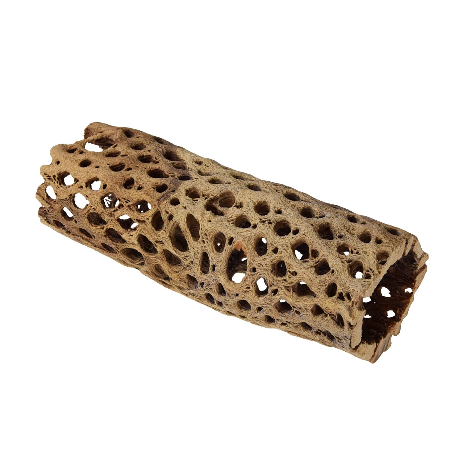 UT - Medium Cholla Tunnel - Small - 6"