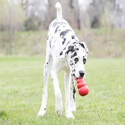 Kong® Classic King Dog Toy