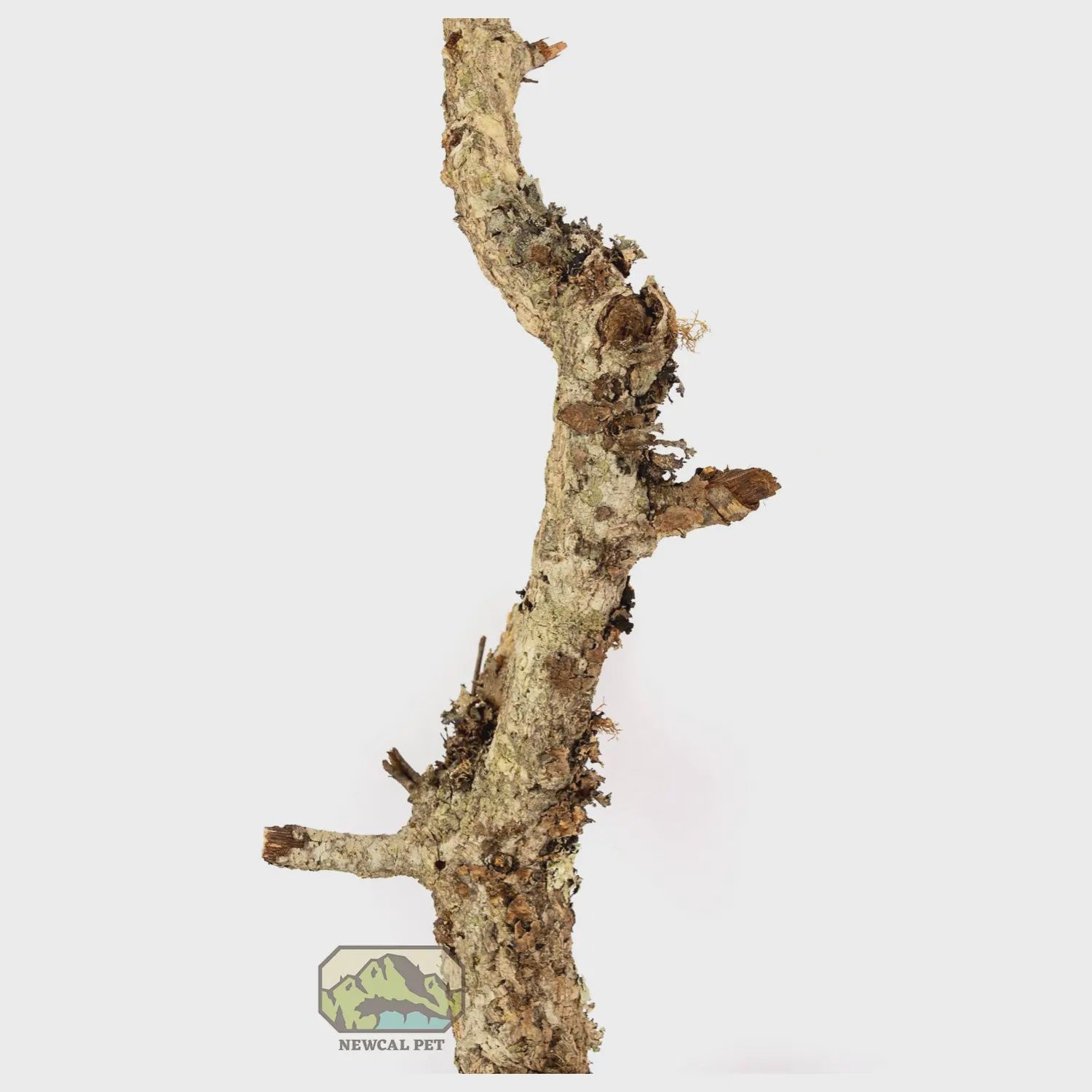 NewCal - Natural Cork Branch Thin (12'')