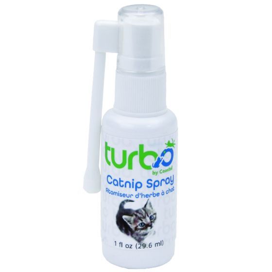 Turbo Catnip Oil Spray Cat 1pc 1oz