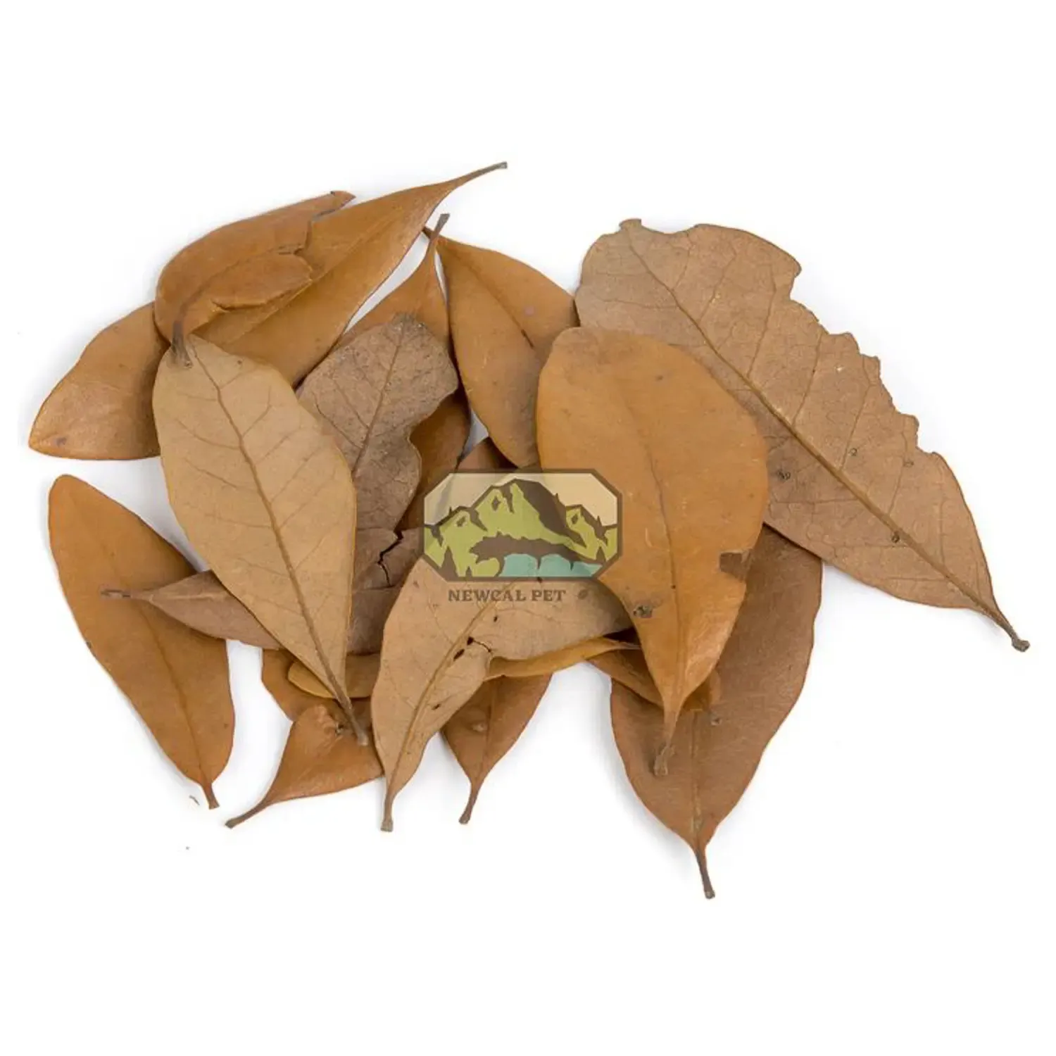 NewCal - Live Oak Leaf Litter 1.5 Oz.