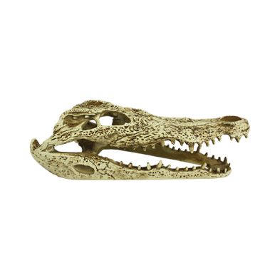 Komodo® Alligator Skull Habitat Decoration