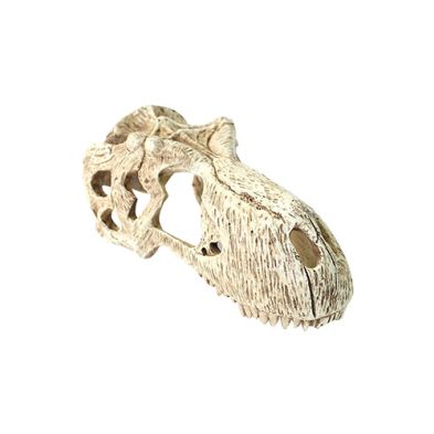 Komodo® T-Rex Skull Large Habitat Decoration
