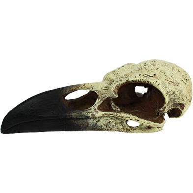 Komodo® Raven Skull Large Habitat Decoration