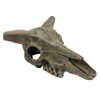 Komodo® Deer Skull Habitat Decoration