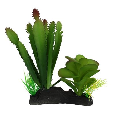 Komodo® Cactus and Succulent 5" Plant Decoration