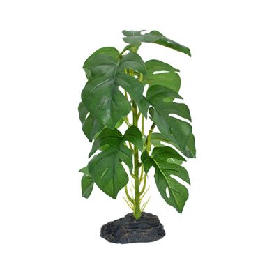 Komodo® Standing Monstera 10" Decorative Plant