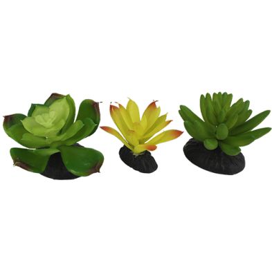 Komodo® Succulents Yellow/Green Plant Decorations (3pk)