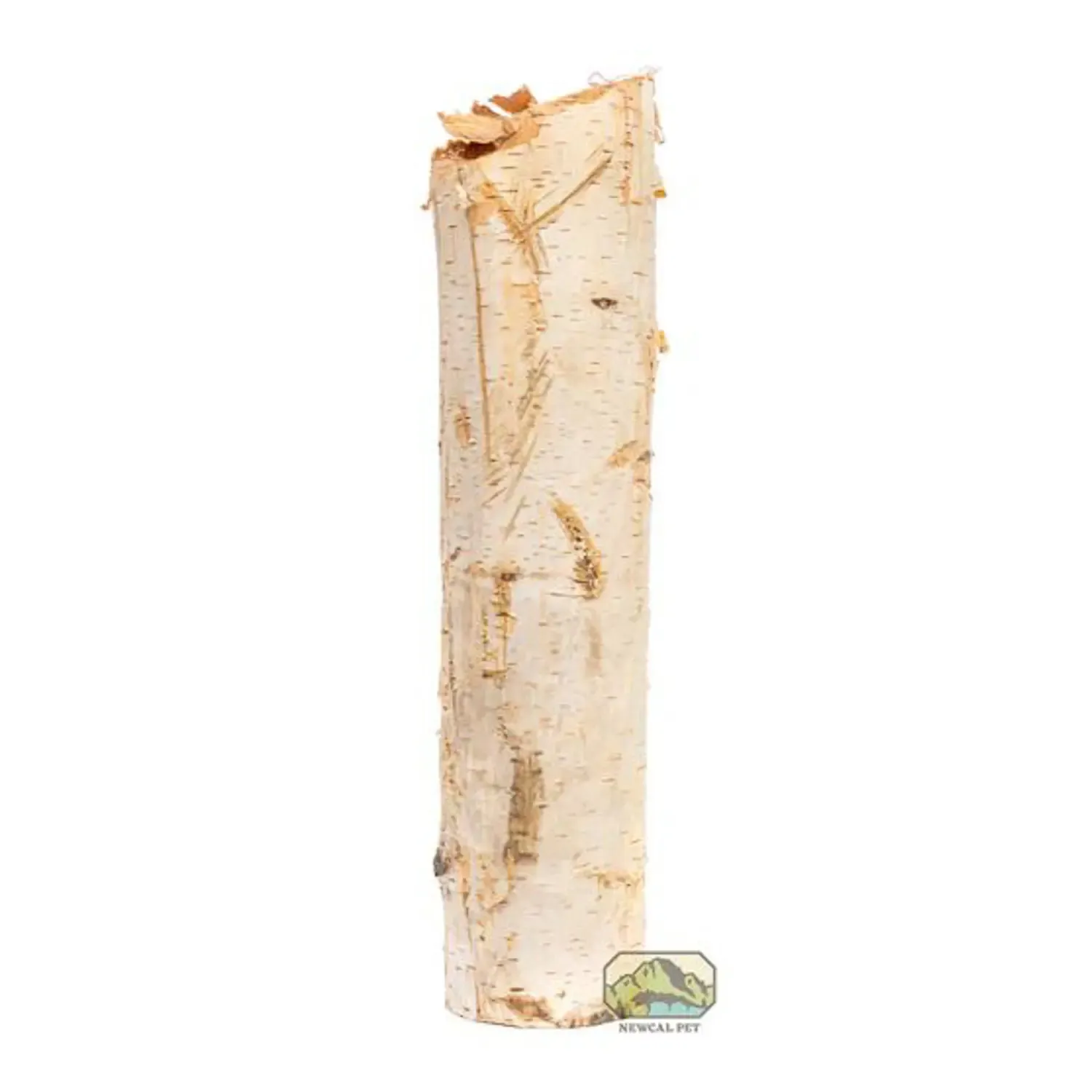 NewCal - Birch Tree Pole - 24''
