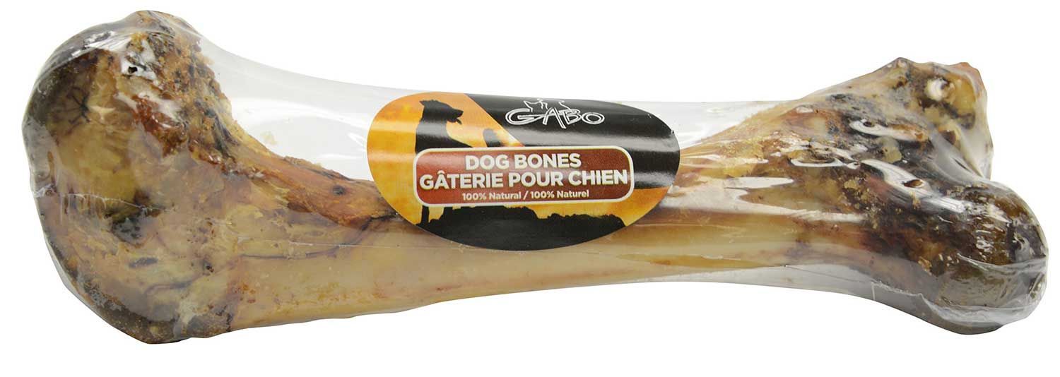 Gabo Dino Bone Dog 10cs 15-18in