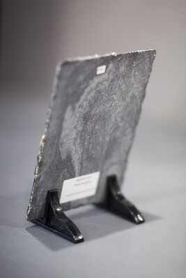 Medium Rectangle Photo Slate