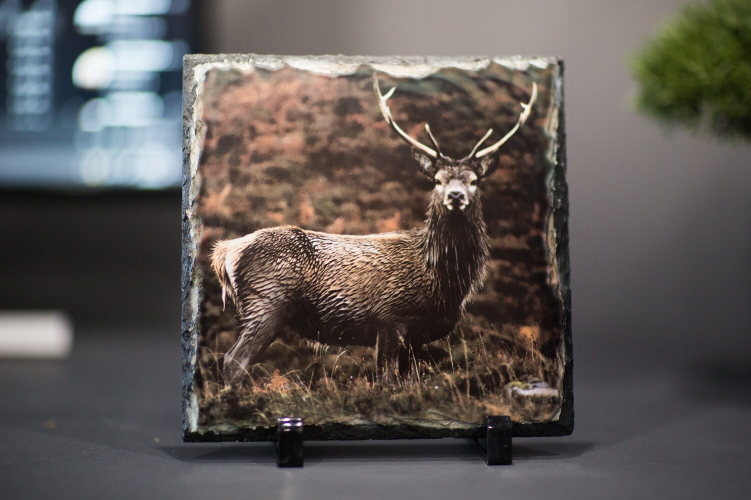 Large Square Photo Slate