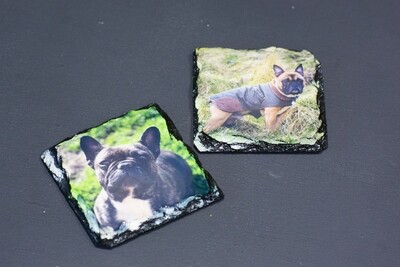 Pair of Pet Slate Coasters
