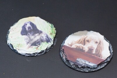 Pair of Pet Slate Coasters