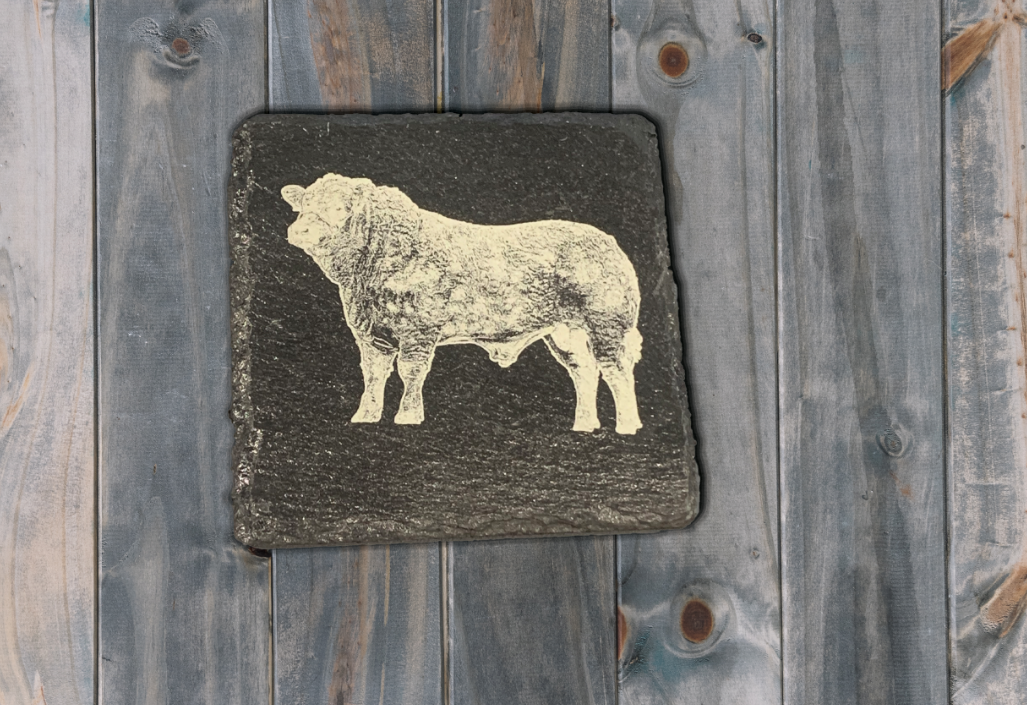 Cattle - Engraved Slate Coaster