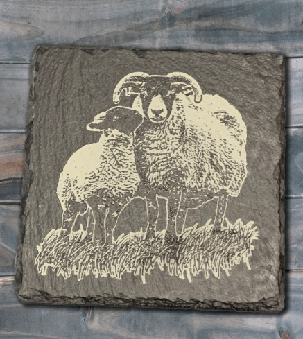 Single Sheep - Engraved Slate Coaster