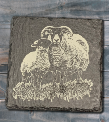 Single Blackface Coaster