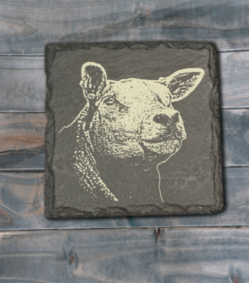 Single Texel Slate Coaster