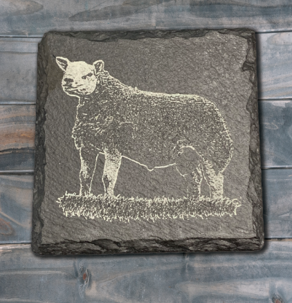 Single Texel Slate Coaster, Options: Texel Tup Body
